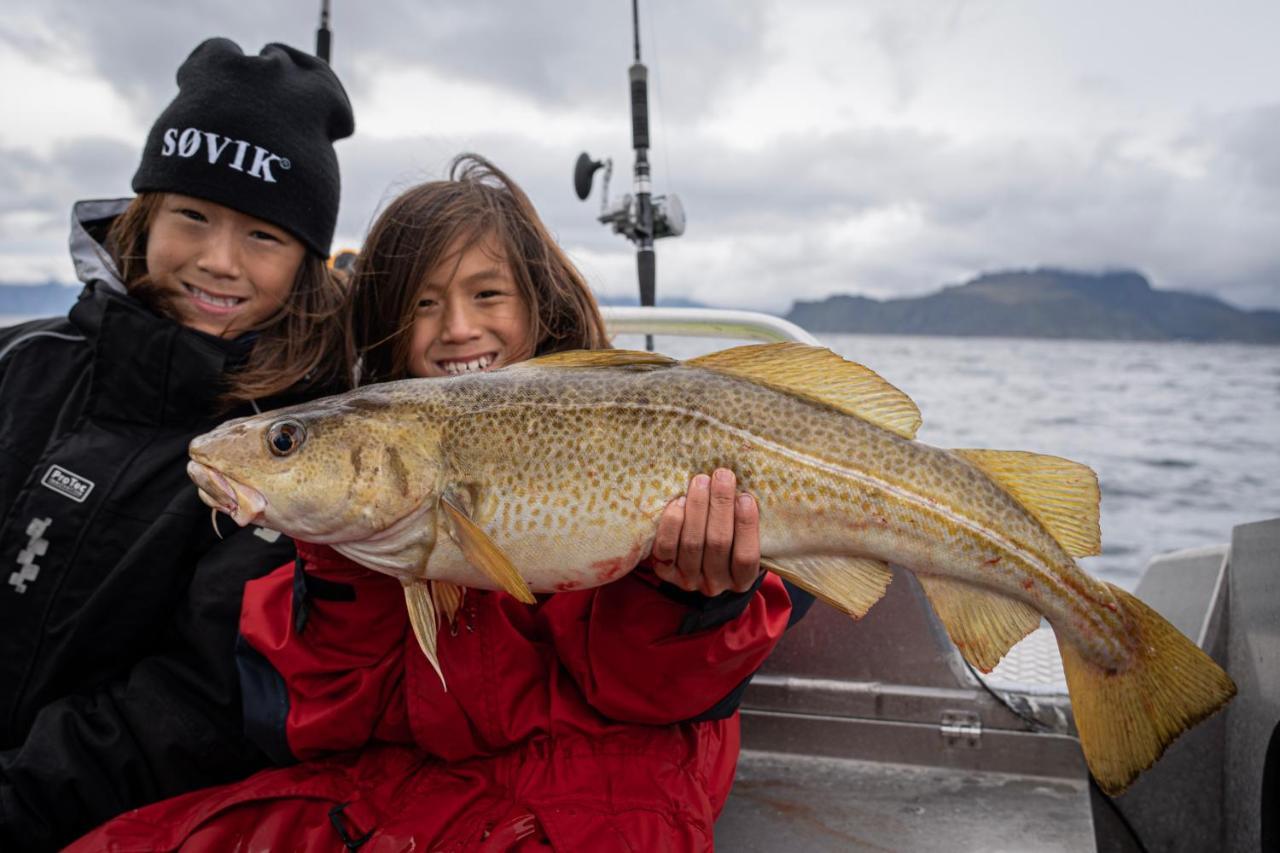 Hemmingodden Lofoten Fishing Lodge Ballstad Exterior foto